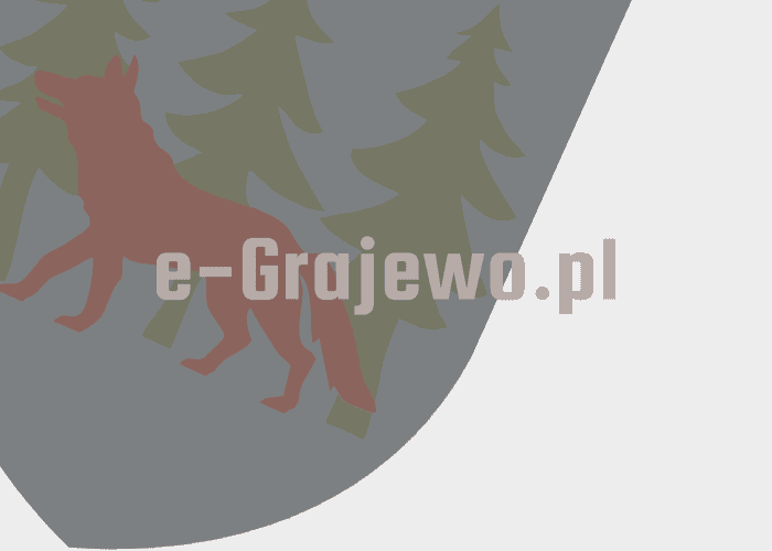 Grajewo ogłoszenia: Potrzebuje na jutro sobotę chłopaka do pomocy przy ogarnięciu...